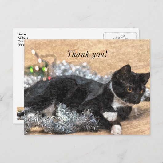 Tuxedo Kitten Tinsel und Lights Danke Postard Postkarte (Vorne/Hinten)