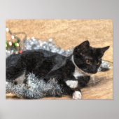 Tuxedo Kitten Tinsel und Lights Painterly Poster (Vorne)
