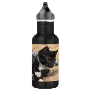 Tuxedo Kitten Tinsel und Lights Painterly Stainles Edelstahlflasche