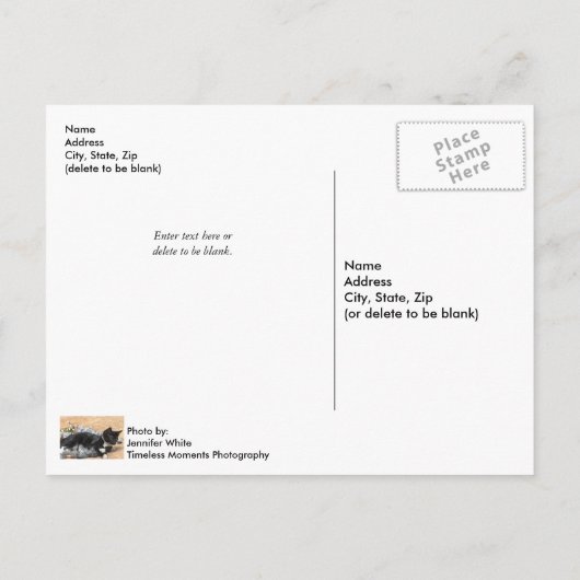 Tuxedo Kitten Tinsel und Lights Postcard Postkarte (Rückseite)