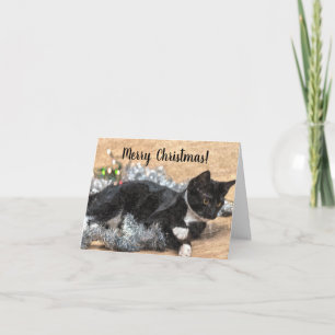 Tuxedo Kitten Tinsel und Lights Weihnachtskarte Karte
