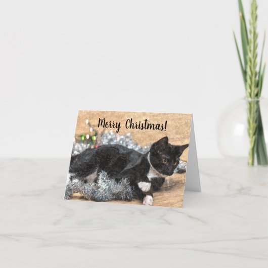 Tuxedo Kitten Tinsel und Lights Weihnachtskarte Karte (Vorderseite)