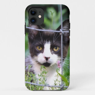 Tuxedo Kitten Xena im Garten iPhone 5 Fall Case-Mate iPhone Hülle
