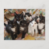 Tuxedo Kittens Postkarte (Vorderseite)