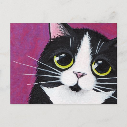 Tuxedo Kitty Cat auf rosa Postkarte (Vorderseite)