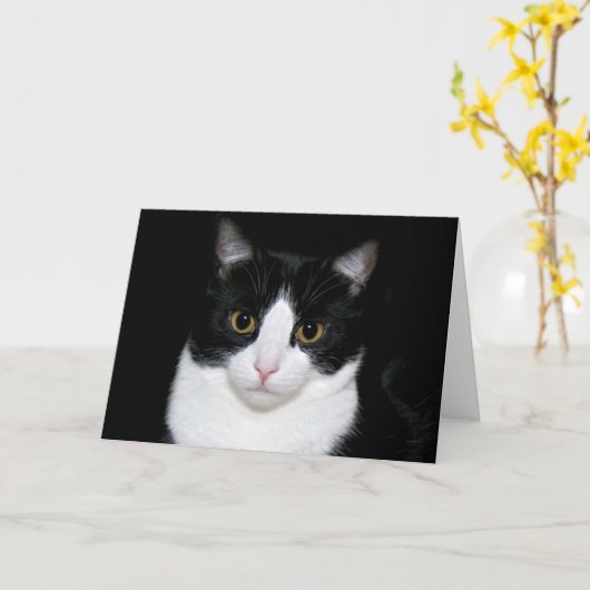 Tuxedo kitty karte (Gelbe Blume)