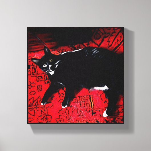 Tuxedo Kitty on Red Rug canvas print Leinwanddruck (Vorderseite)