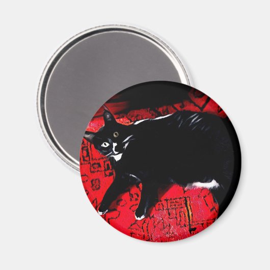 Tuxedo Kitty on Red Rug Magnet (Vorderseite/Rückseite)