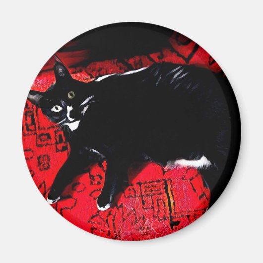 Tuxedo Kitty on Red Rug Magnet (Vorne)
