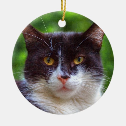 Tuxedo Portrait Keramikornament (Vorne)