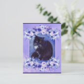 Tuxedo, Schwarz-Weiß-Katzenkunst von Renee Lavoie Postkarte (Stehend Vorderseite)
