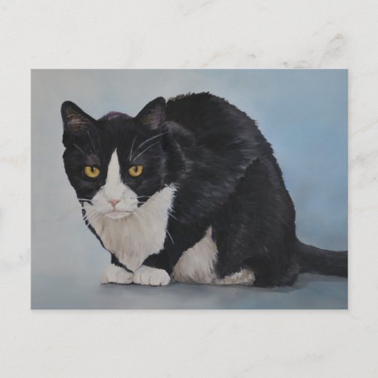 Tuxedo Schwarz-weiße häusliche Kurzkatze Postkarte (Vorderseite)