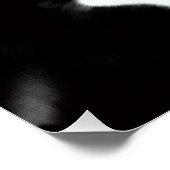 Tuxedokatze im Maisfeld Poster (Ecke)