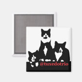 TuxedoTrio Magnet (Vorderseite/Rückseite)
