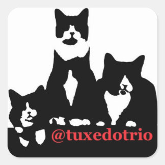 TuxedoTrio Square Quadratischer Aufkleber