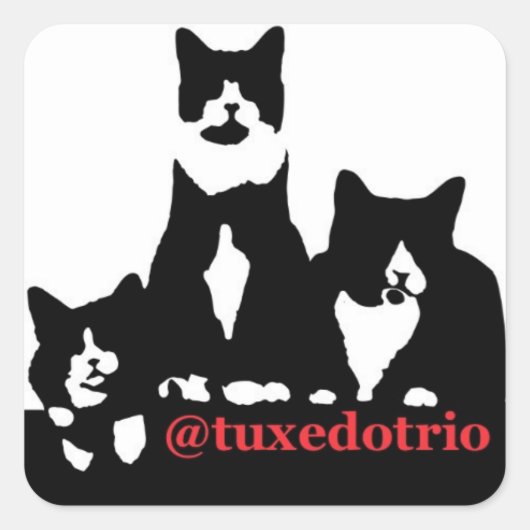 TuxedoTrio Square Quadratischer Aufkleber (Vorderseite)