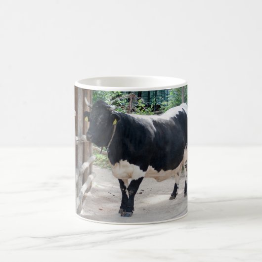 Tuxer Cattle Kaffeetasse (Mittel)