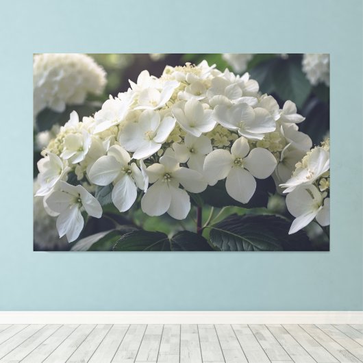 *~* TV2 Soft Hydrangea Stretched Canvas Print Leinwanddruck (Insitu (Holzboden))