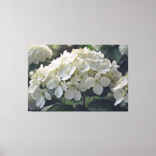 *~* TV2 Soft Hydrangea Stretched Canvas Print Leinwanddruck (Vorderseite)