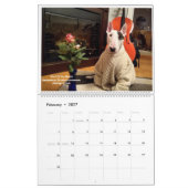 TV Terrier 2021 Kalender neu gestalten (Feb 2027)