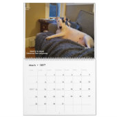 TV Terrier 2021 Kalender neu gestalten (Mär 2027)