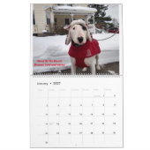TV Terrier 2021 Kalender neu gestalten (Jan 2027)