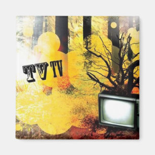 TV/TV MAGNET