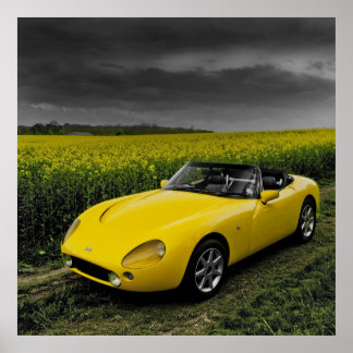TVR Griffith Print Poster