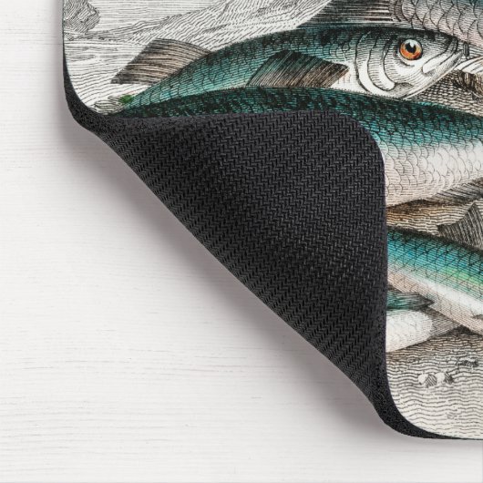 Twaite Shad, Herings, Sprats oder Garvies, Pilchar Mousepad (Ecke)