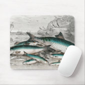 Twaite Shad, Herings, Sprats oder Garvies, Pilchar Mousepad (Mit Mouse)