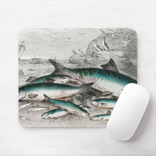Twaite Shad, Herings, Sprats oder Garvies, Pilchar Mousepad (Mit Mouse)