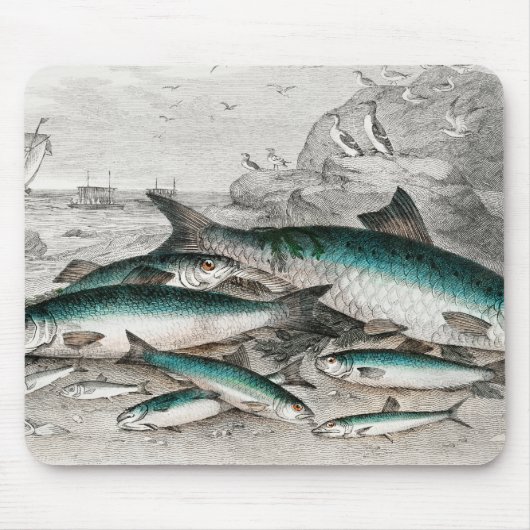Twaite Shad, Herings, Sprats oder Garvies, Pilchar Mousepad (Vorne)