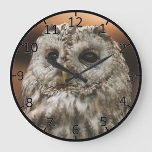 Twany Owl Große Wanduhr