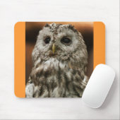 Twany Owl Mousepad (Mit Mouse)