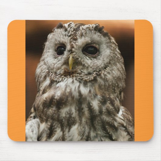 Twany Owl Mousepad (Vorne)