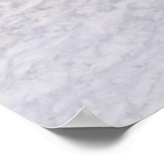 Tweaked Ski Grab Poster (Ecke)