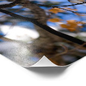 Tweebaum Fotodruck (Ecke)