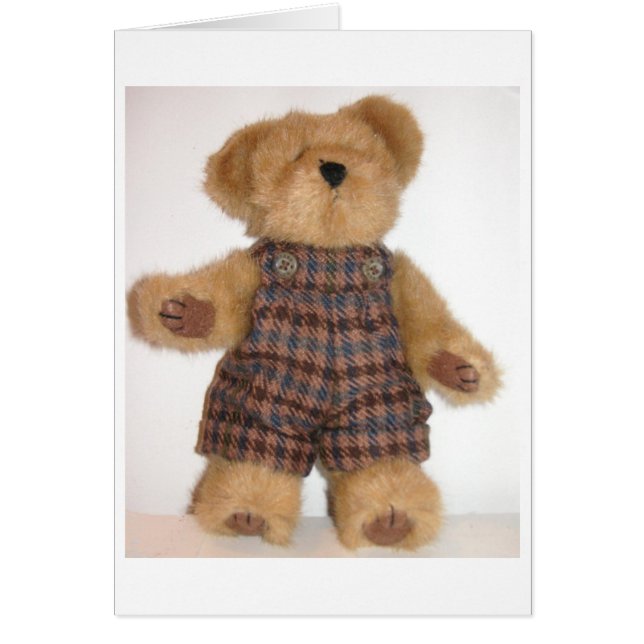 Tweedie Teddy (Vorne)