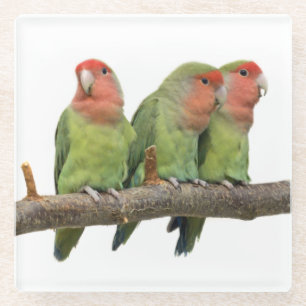 Tweet Trio Glass Untersetzer