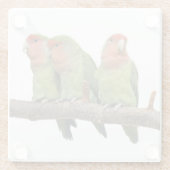 Tweet Trio Glass Untersetzer (Rückseite)