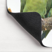 Tweet Trio Mousemat Mousepad (Ecke)