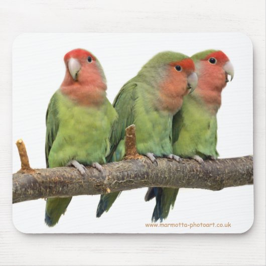 Tweet Trio Mousemat Mousepad (Vorne)