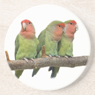 Tweet Trio Untersetzer