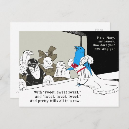 Tweetend Blauvogel c.1900 Mutterwild Gänse CC1154 Postkarte (Vorne/Hinten)