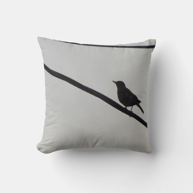 Tweeter Kissen (Vorderseite)