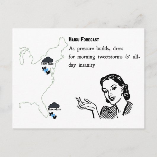 Tweetstorms Haiku Postcard Postkarte (Vorderseite)