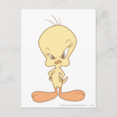 TWEETY™ Angry Postkarte (Vorderseite)