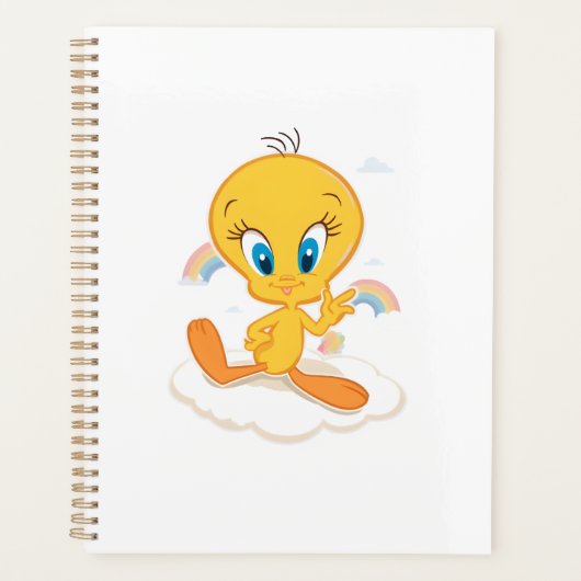 Tweety Bird Planer (Vorderseite)