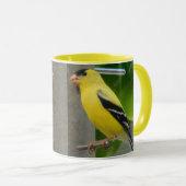 Tweety-Bird-Tasse Tasse (VorderseiteRechts)
