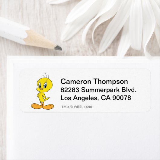 TWEETY™ | Clever Bird (Insitu)